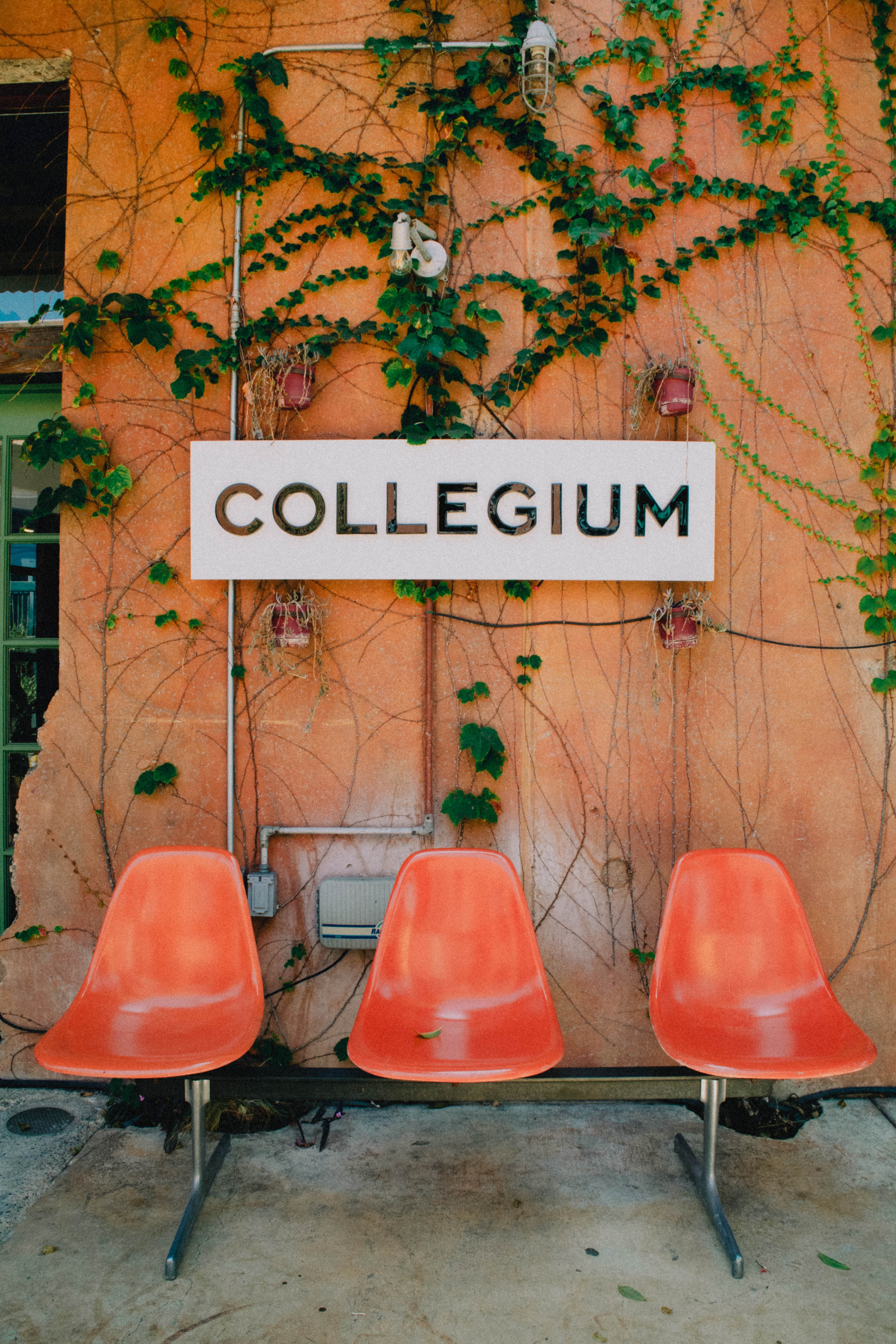 Nick Sisombath // Collegium — photo 1