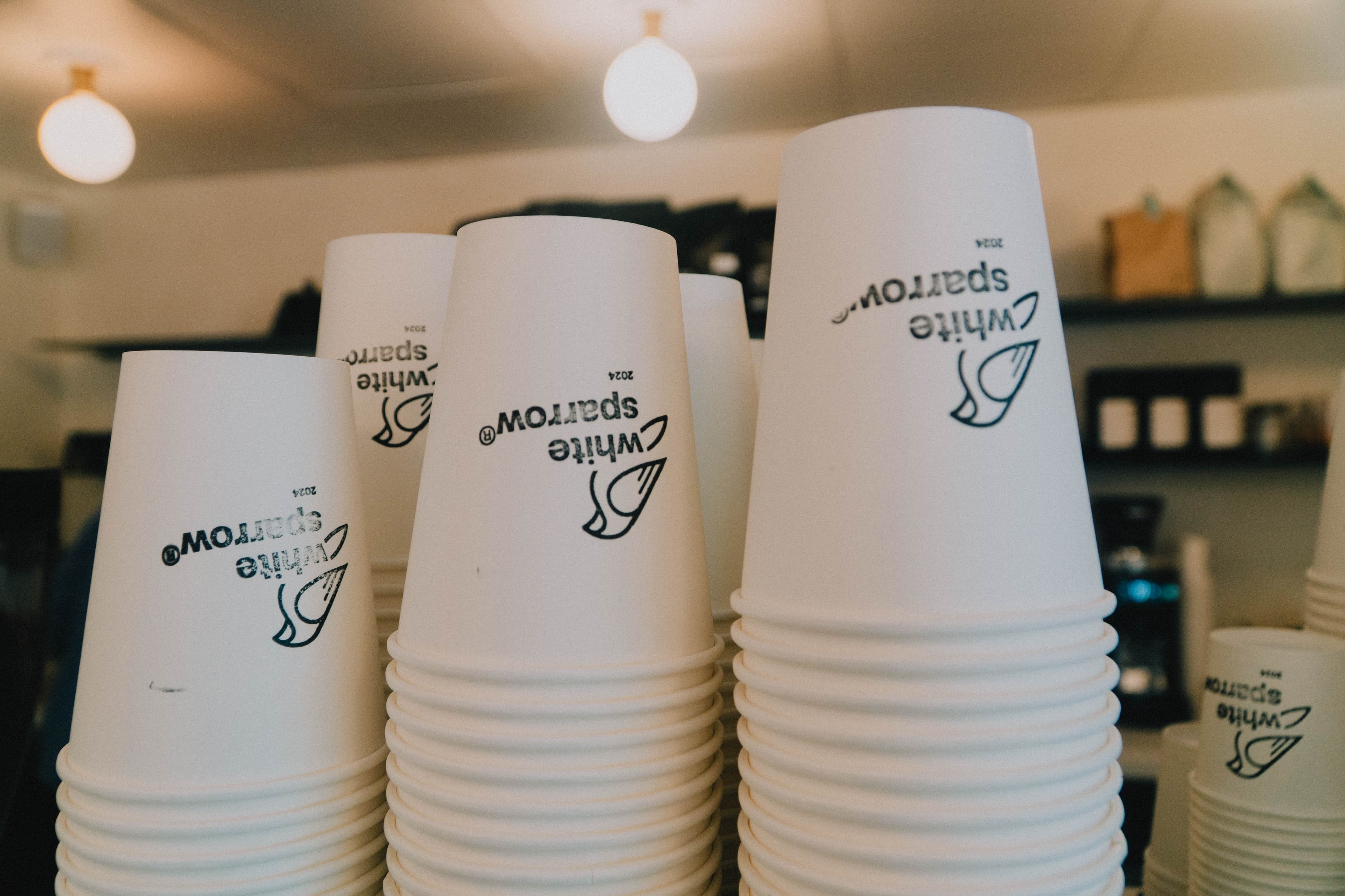 Alex & Tommy // White Sparrow Coffee — photo 3